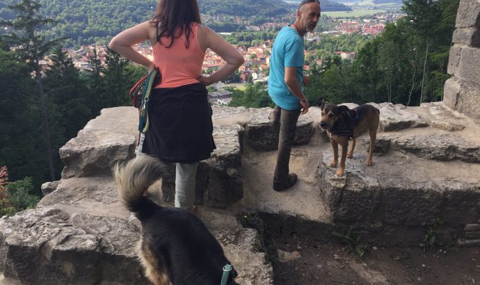 … zwischen Umzugskarton, schmierigen Händen & TV-Angeboten…