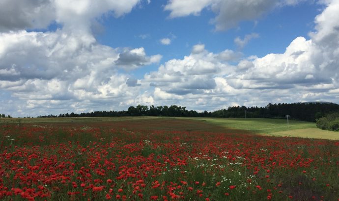 … zwischen Umzugskarton, schmierigen Händen & TV-Angeboten…