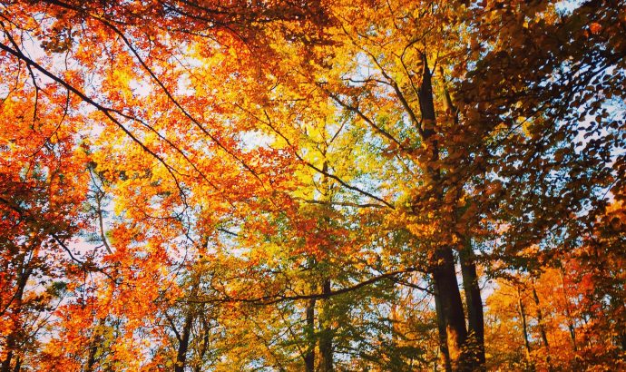 … zwischen Umzugskarton, schmierigen Händen & TV-Angeboten…