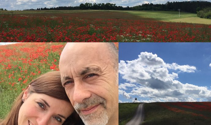 … zwischen Umzugskarton, schmierigen Händen & TV-Angeboten…