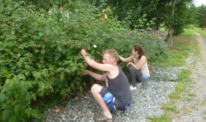 … zwischen Umzugskarton, schmierigen Händen & TV-Angeboten…