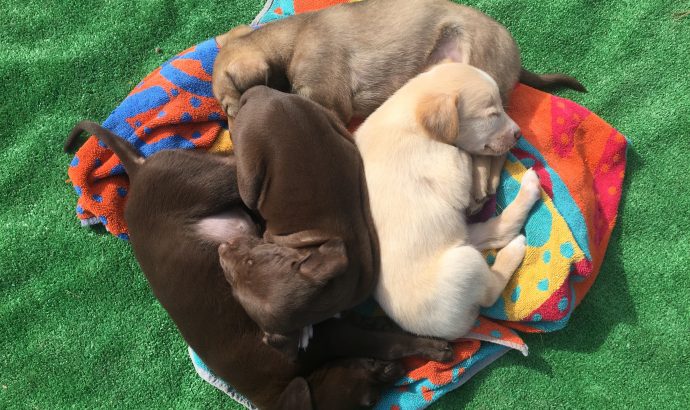 Auszeit in den Bergen Andalusiens