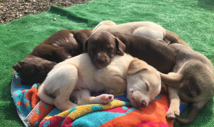 Auszeit in den Bergen Andalusiens