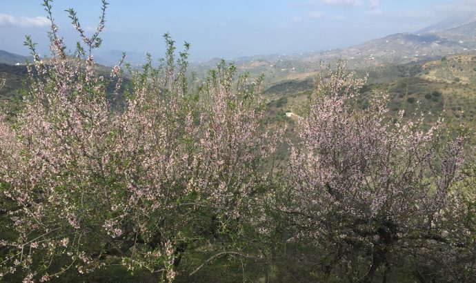 Auszeit in den Bergen Andalusiens