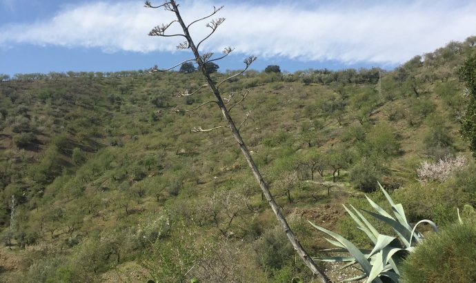 Auszeit in den Bergen Andalusiens