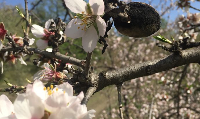 Auszeit in den Bergen Andalusiens