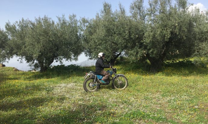 Auszeit in den Bergen Andalusiens