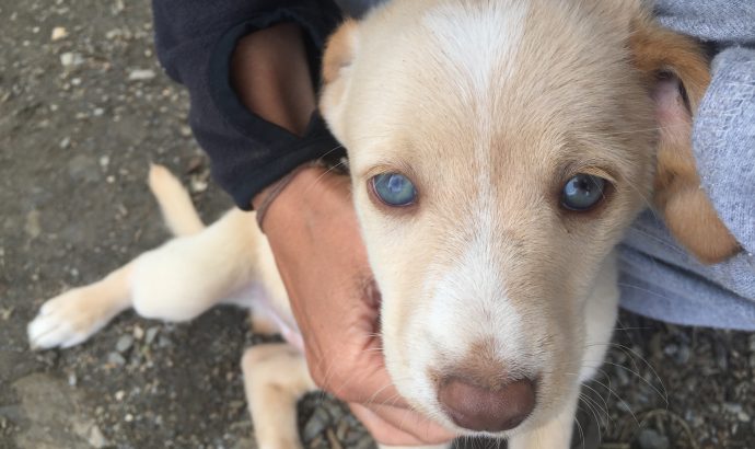 Auszeit in den Bergen Andalusiens