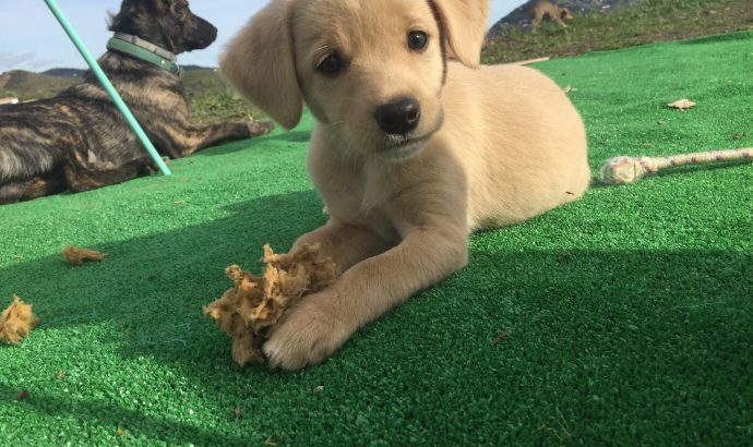 Auszeit in den Bergen Andalusiens