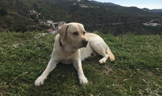 Auszeit in den Bergen Andalusiens