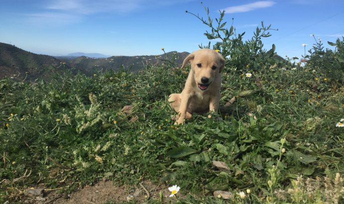 Auszeit in den Bergen Andalusiens