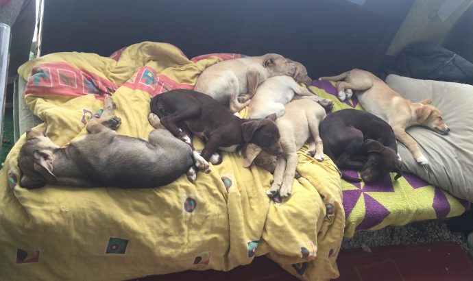 Auszeit in den Bergen Andalusiens