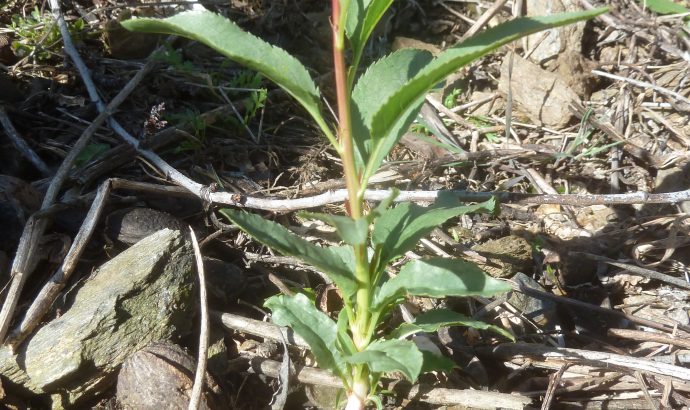 Auszeit in den Bergen Andalusiens