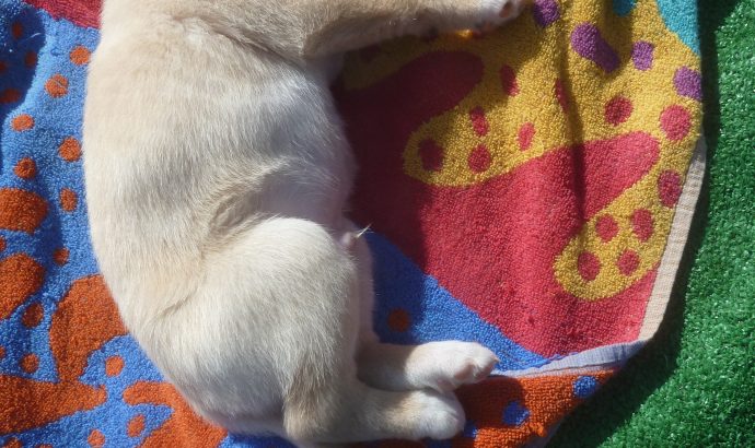 Auszeit in den Bergen Andalusiens