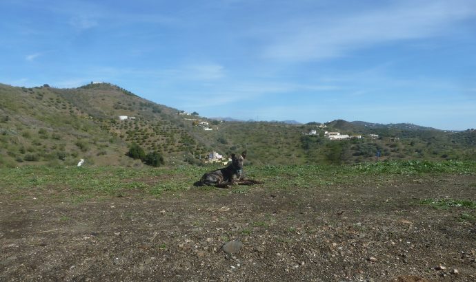 Auszeit in den Bergen Andalusiens