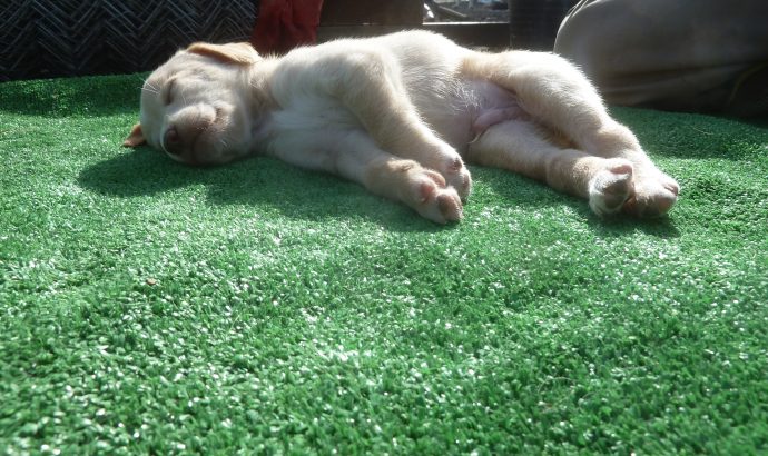 Auszeit in den Bergen Andalusiens