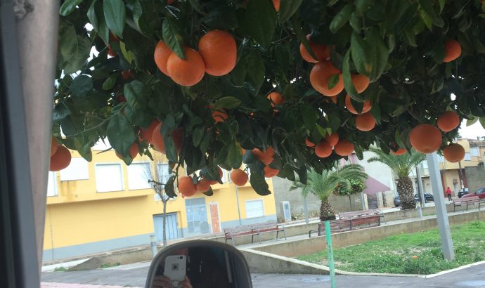 Die Kälte sitzt uns im Nacken- heftige Unwetter an der Costa Blanca