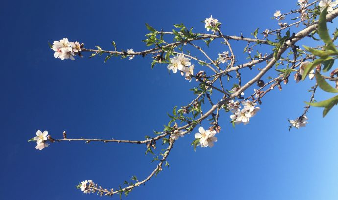 Die Kälte sitzt uns im Nacken- heftige Unwetter an der Costa Blanca
