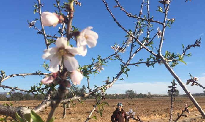 Die Kälte sitzt uns im Nacken- heftige Unwetter an der Costa Blanca