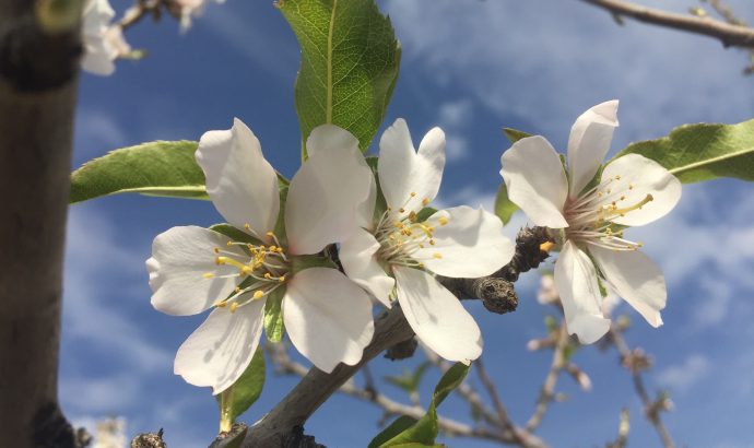 Die Kälte sitzt uns im Nacken- heftige Unwetter an der Costa Blanca