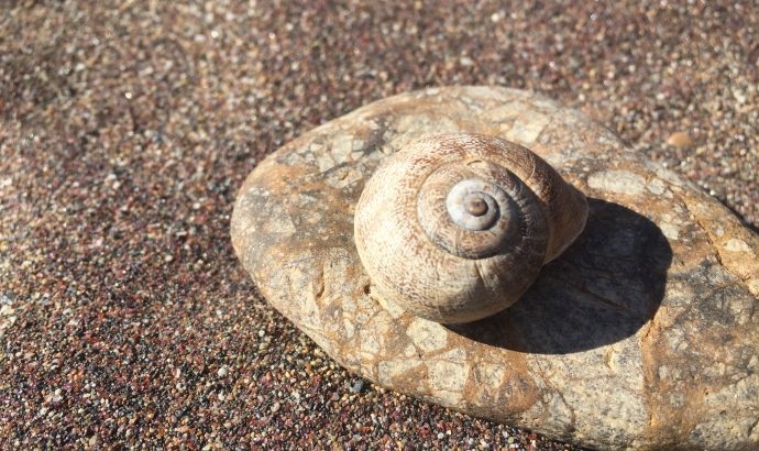 Beachhopping oder welcher Strand ist der Schönste…?