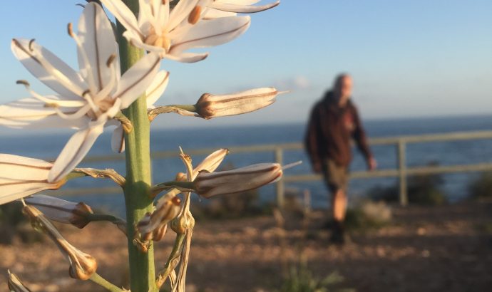 Beachhopping oder welcher Strand ist der Schönste…?