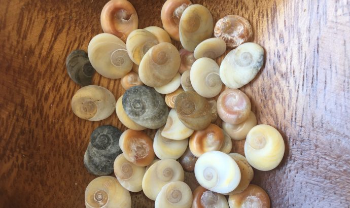 Beachhopping oder welcher Strand ist der Schönste…?