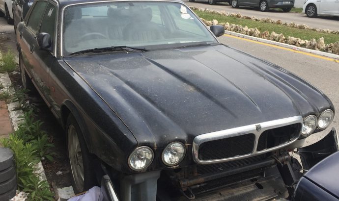 Zwischen Yachten, Luxuskarossen & der (Möchtegern)-High Society