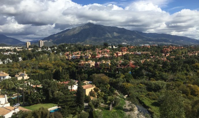 Zwischen Yachten, Luxuskarossen & der (Möchtegern)-High Society