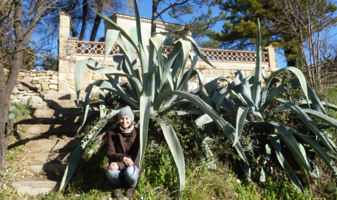 Tschüss Winter- Hallo Sonne!