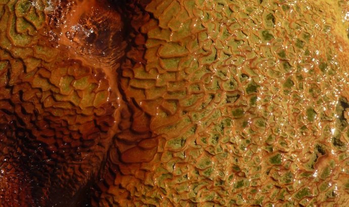 Die Kälte sitzt uns im Nacken- heftige Unwetter an der Costa Blanca