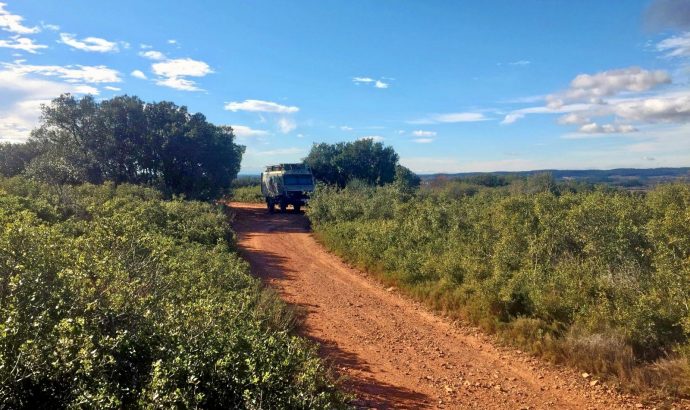 Tschüss Winter- Hallo Sonne!