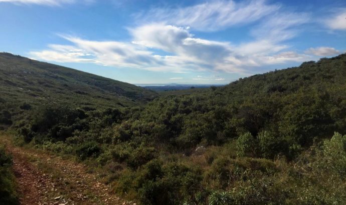 Tschüss Winter- Hallo Sonne!