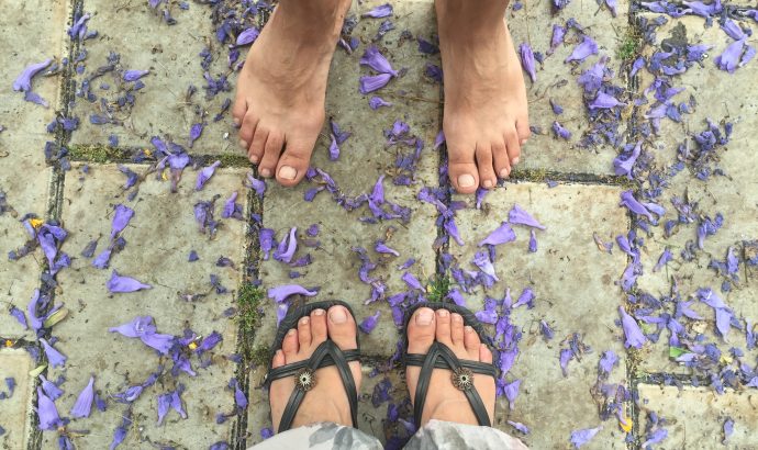 Und noch ein Kupplungsschaden…