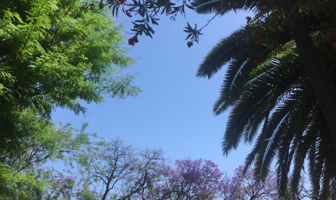 Und noch ein Kupplungsschaden…