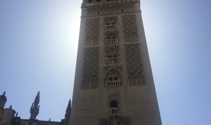 Und noch ein Kupplungsschaden…