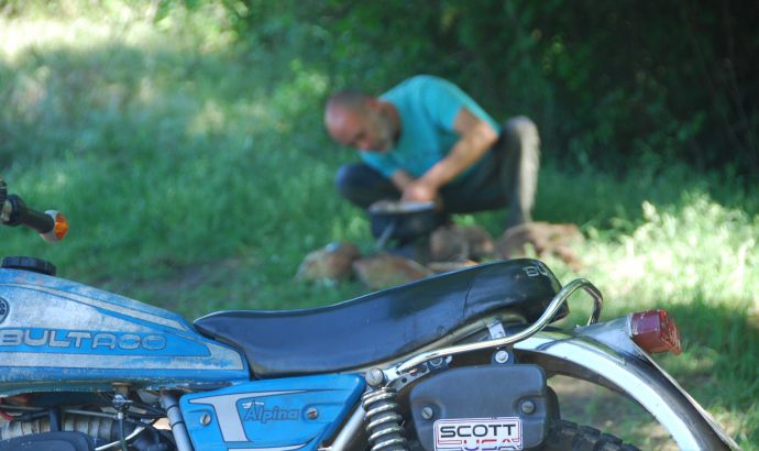 About Alcala… – by Mölli