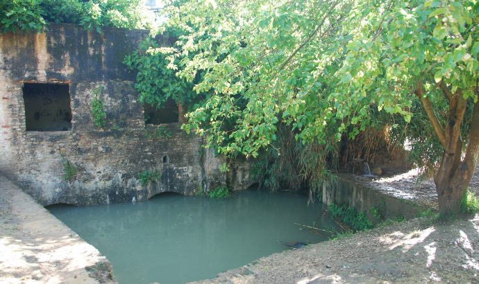 About Alcala… – by Mölli