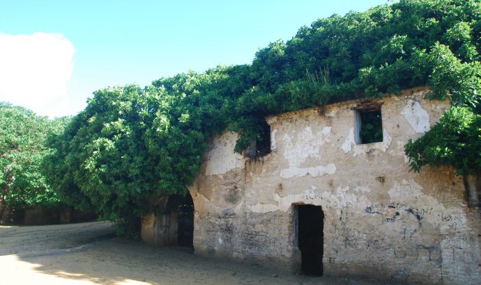 About Alcala… – by Mölli