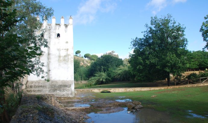 About Alcala… – by Mölli