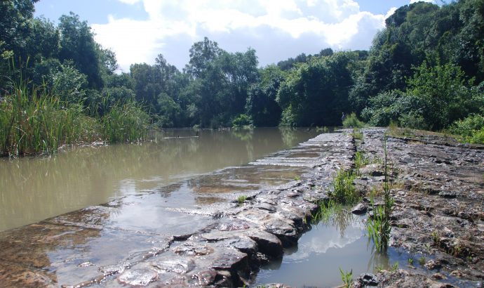 About Alcala… – by Mölli