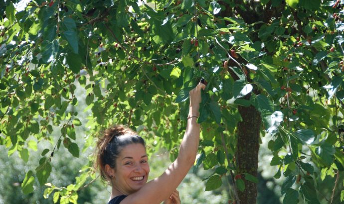 About Alcala… – by Mölli