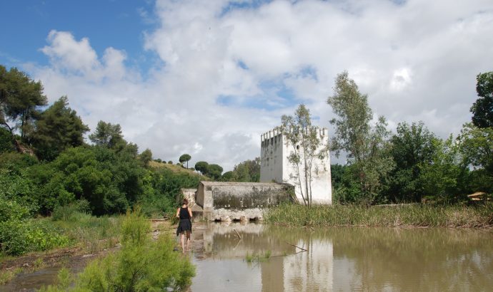 About Alcala… – by Mölli