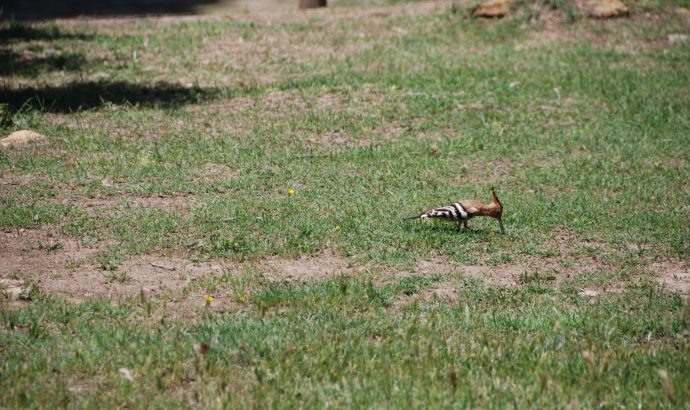 About Alcala… – by Mölli