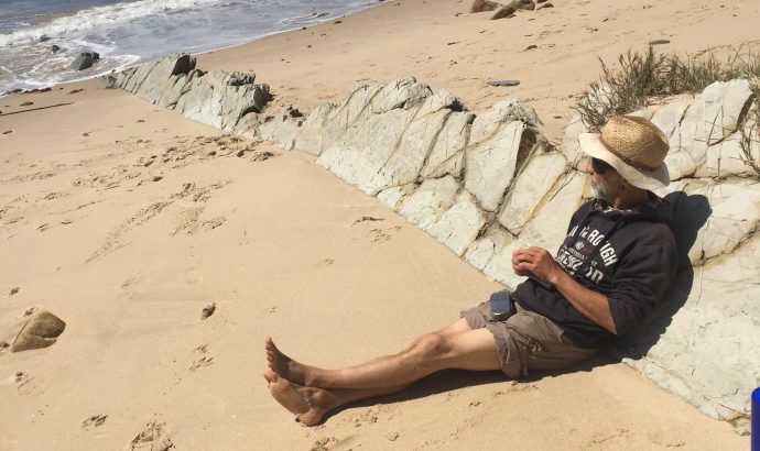 Kühe am Frühstückstisch in Tarifa