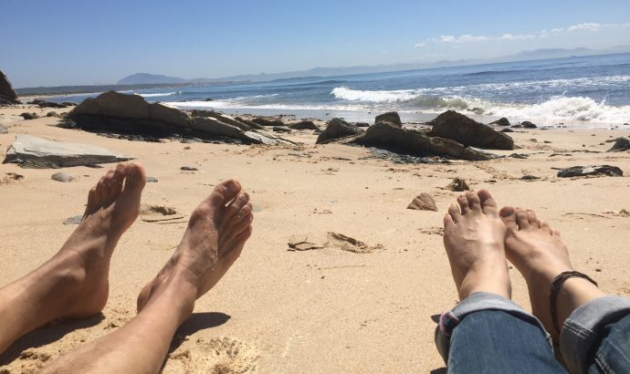 Kühe am Frühstückstisch in Tarifa