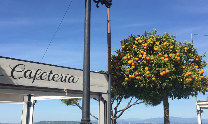 Vejer de la Frontera- eine Perle an der Costa de la Luz