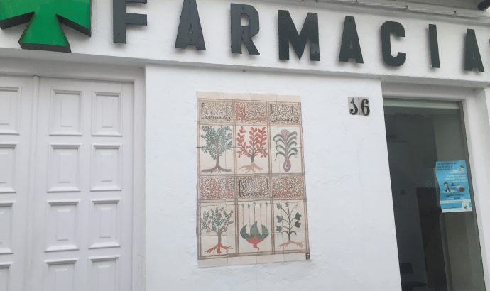 Vejer de la Frontera- eine Perle an der Costa de la Luz