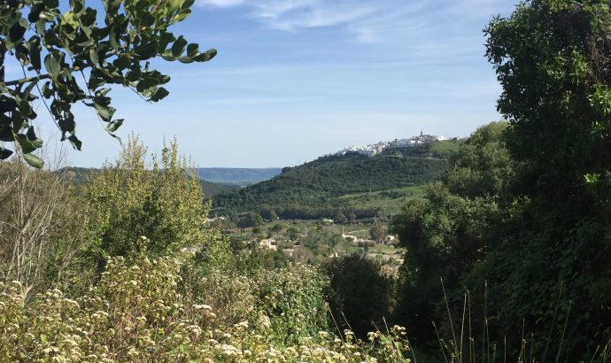 Vejer de la Frontera- eine Perle an der Costa de la Luz