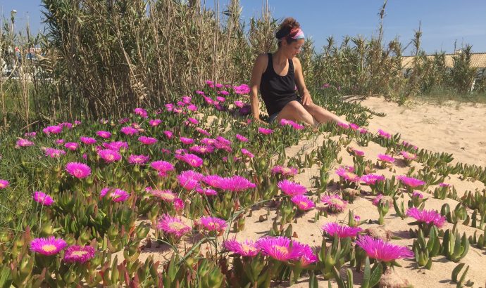 Vejer de la Frontera- eine Perle an der Costa de la Luz